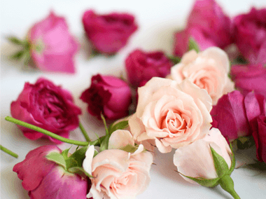 El Que Da\u2026 Recibe